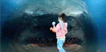 Aus und vorbei: Dieser Megastar wird nicht in „The Meg 2“ dabei sein!